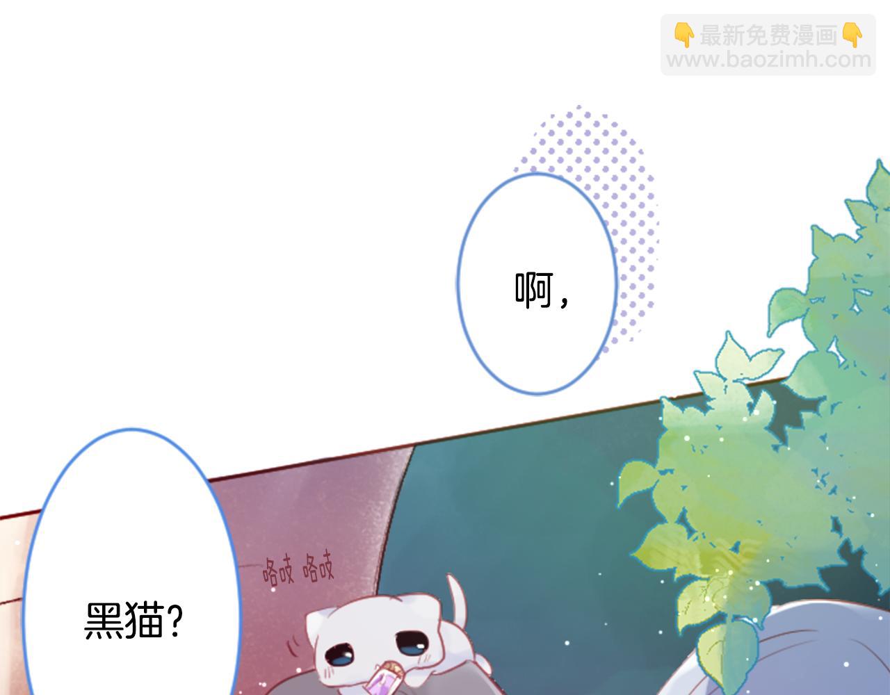 🍸哥哥~请你收养喵 第125话 樱桃蛋挞爱情事件 第3页