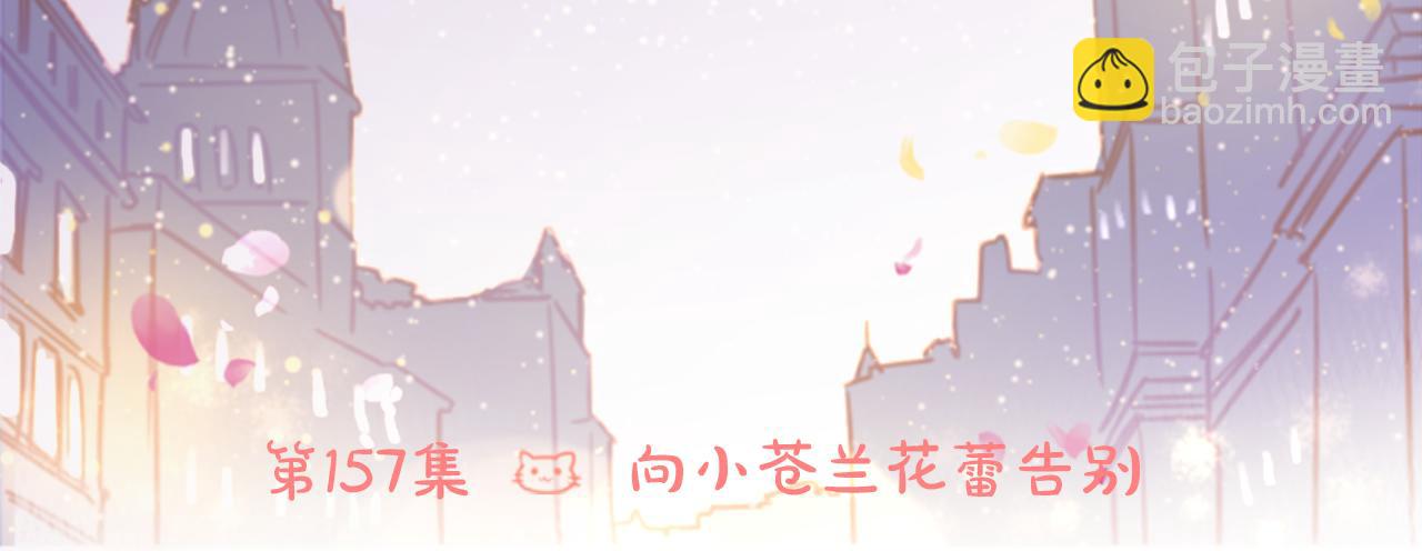 🍸哥哥~请你收养喵 第157话 向小苍兰花蕾告别 第17页