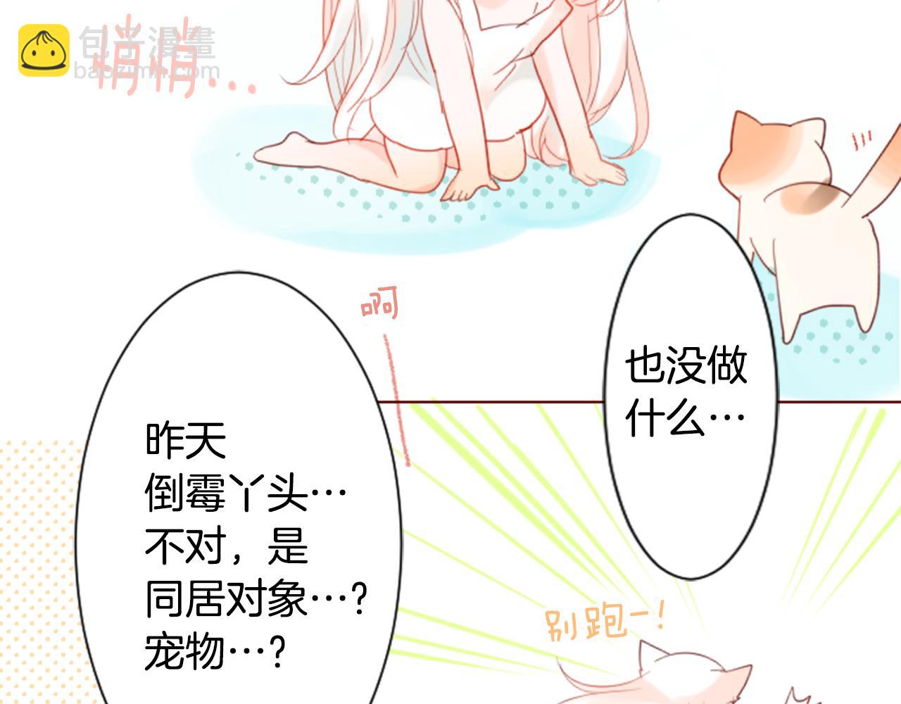 🍸哥哥~请你收养喵 第17话 边吃早午饭边猜答案 第18页