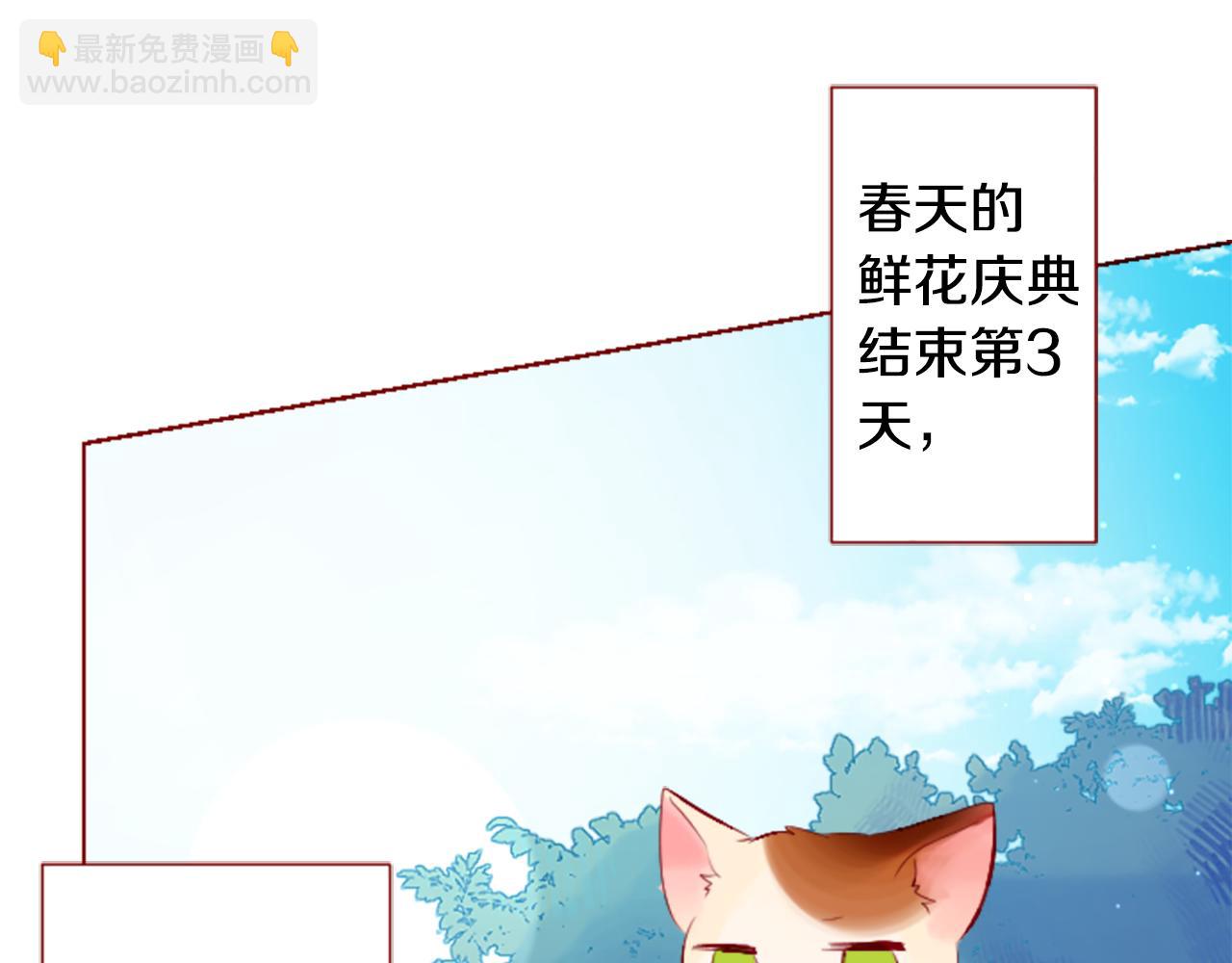 🍸哥哥~请你收养喵 第179话 小巷里的深夜食堂 第6页