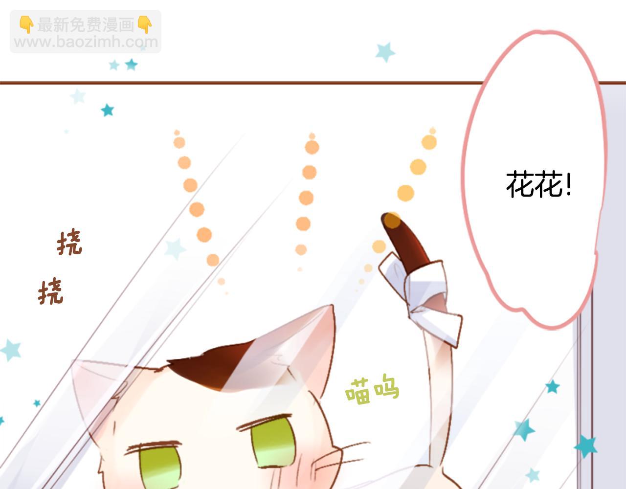 🍸哥哥~请你收养喵 第197话 开始反击 第48页