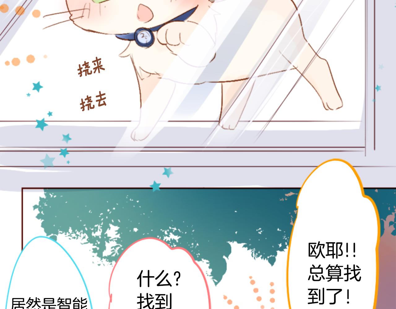 🍸哥哥~请你收养喵 第197话 开始反击 第49页