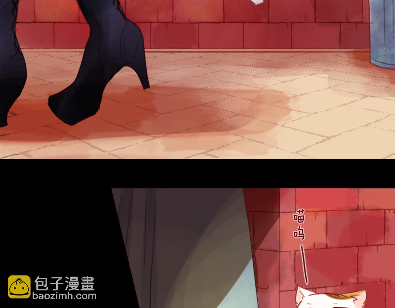 🍸哥哥~请你收养喵 第21话 开幕信号 第10页