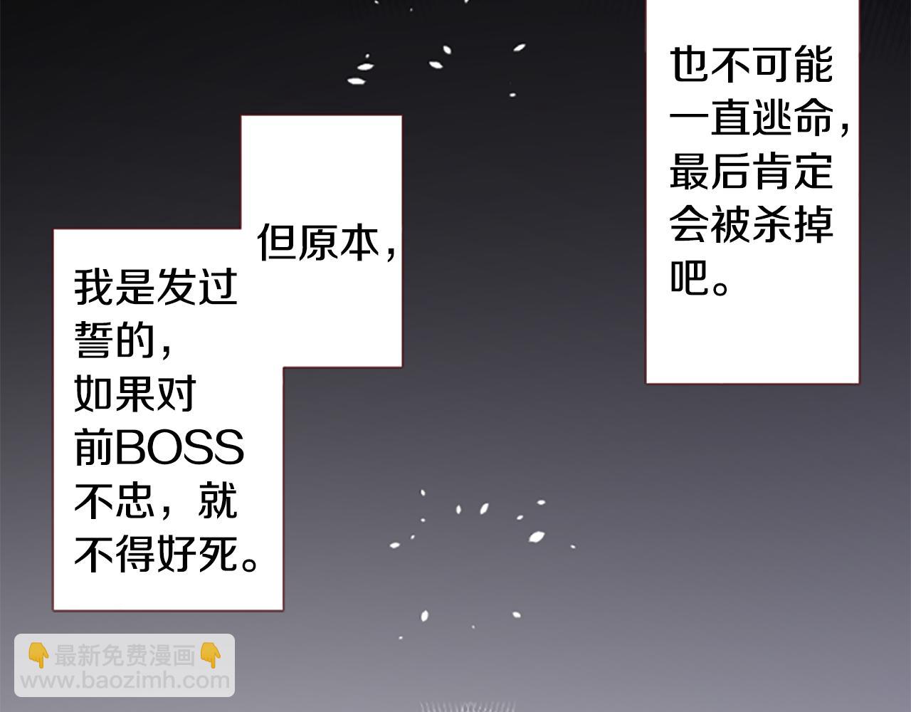 🍸哥哥~请你收养喵 第215话 巨兔杀手 第49页