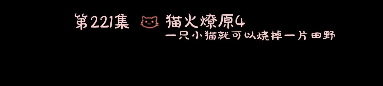 🍸哥哥~请你收养喵 第221话 猫火燎原4 第3页