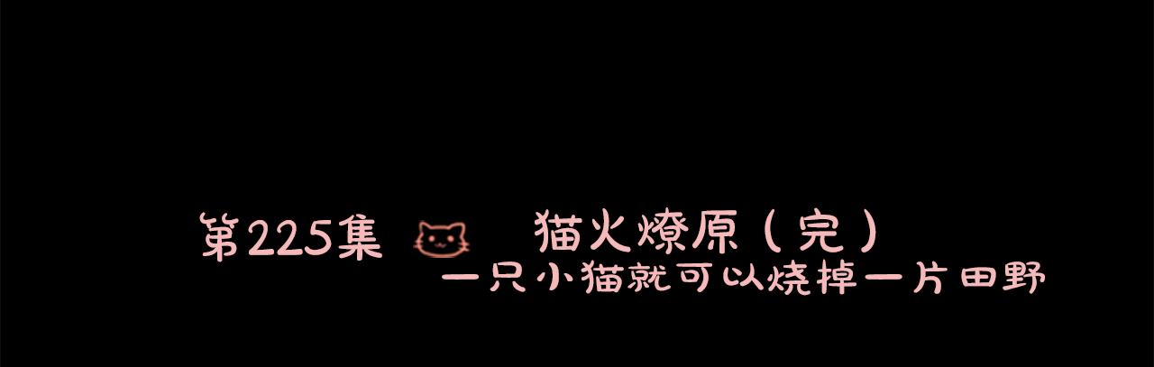 🍸哥哥~请你收养喵 第225话 猫火燎原（完） 第14页