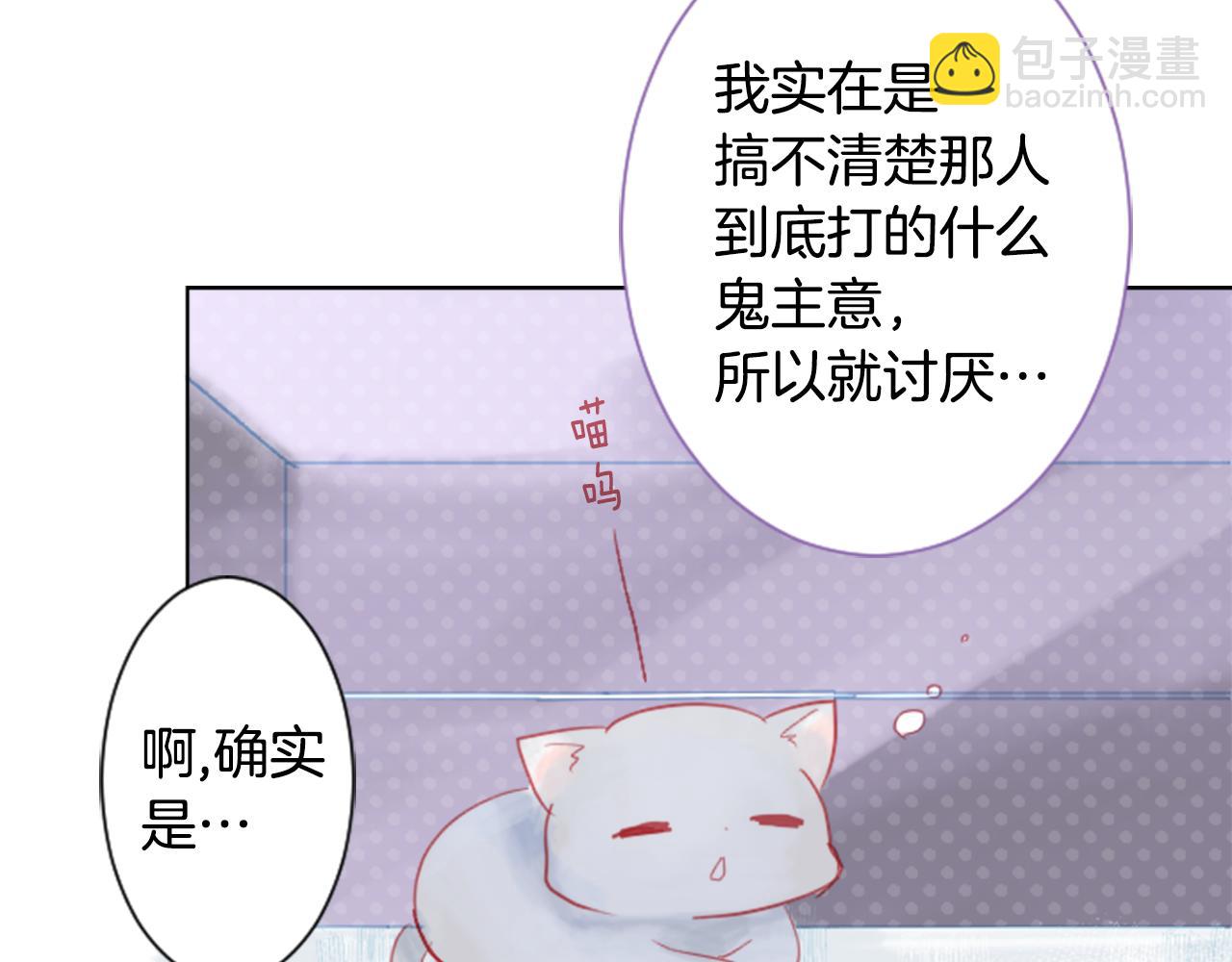🍸哥哥~请你收养喵 第23话 书呆子魔法师 第43页