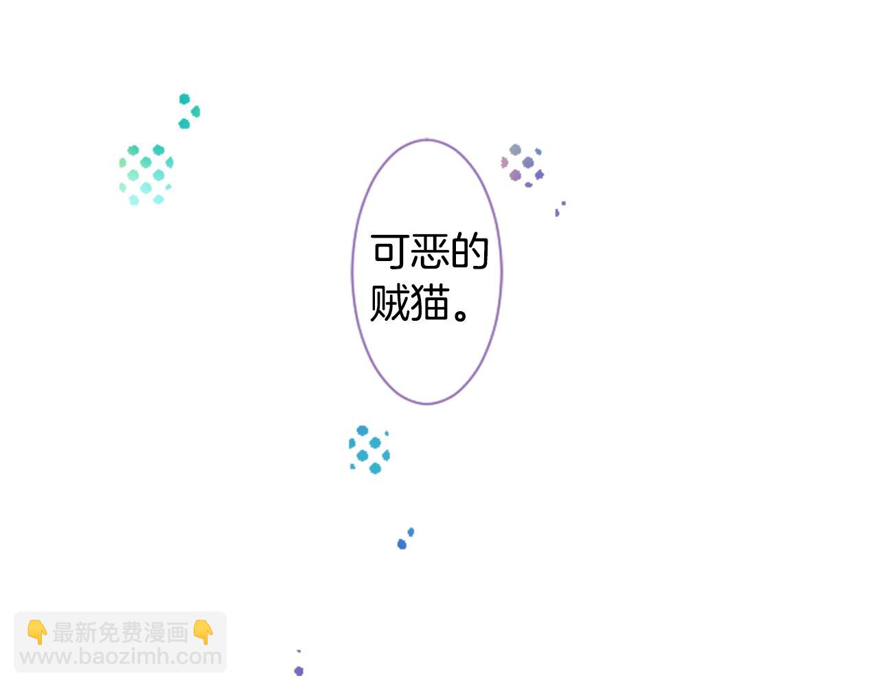 🍸哥哥~请你收养喵 第23话 书呆子魔法师 第47页