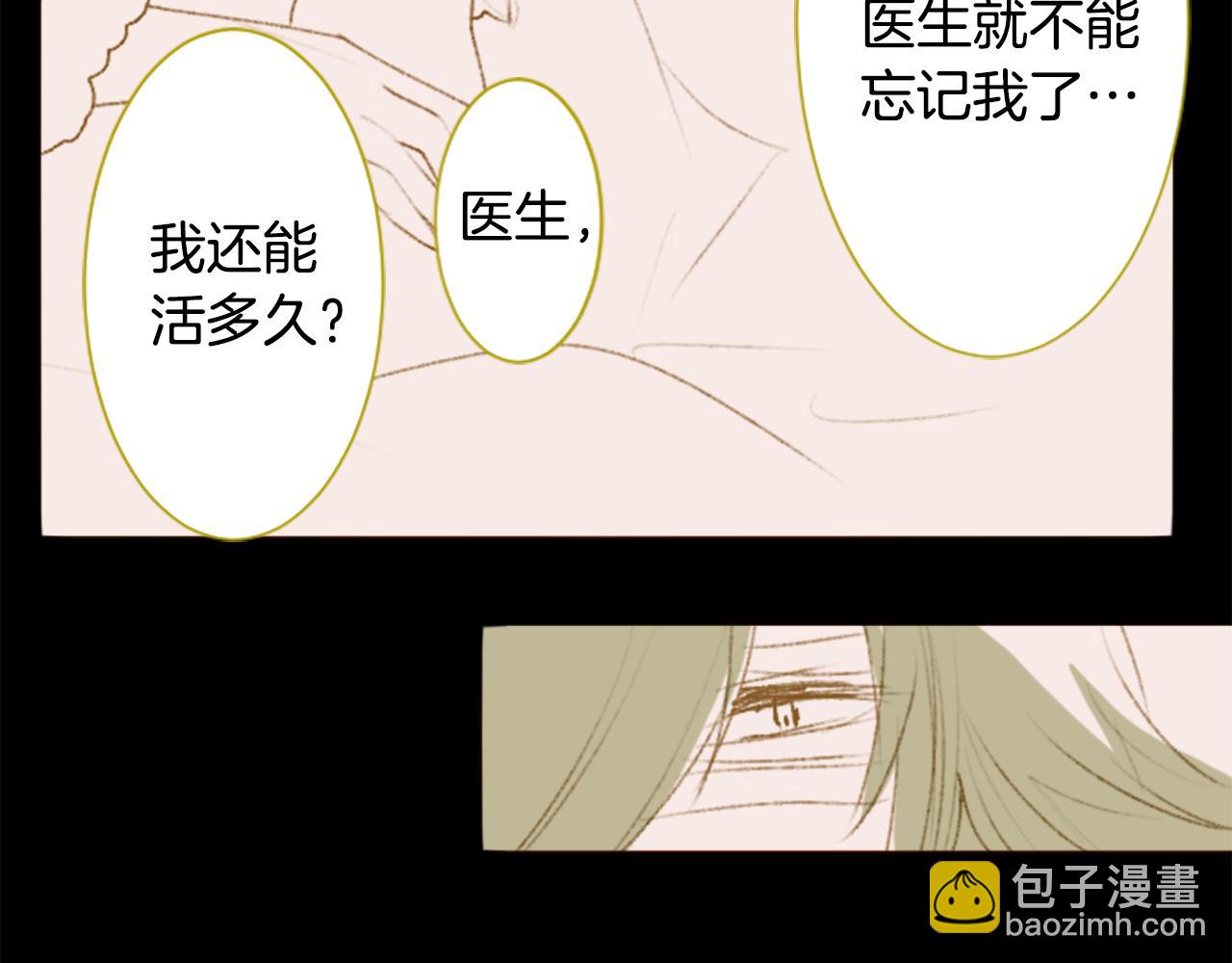 🍸哥哥~请你收养喵 第231话 樱桃·开心果·小夜曲5 第6页