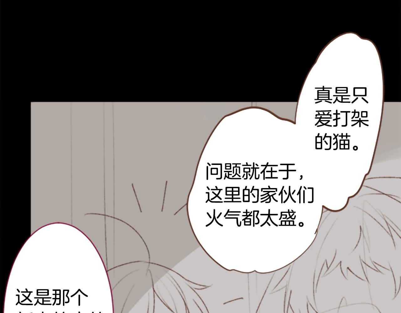 🍸哥哥~请你收养喵 第263话 离别的Aqua Grey 第31页