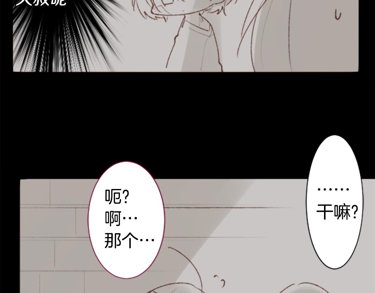 🍸哥哥~请你收养喵 第263话 离别的Aqua Grey 第38页