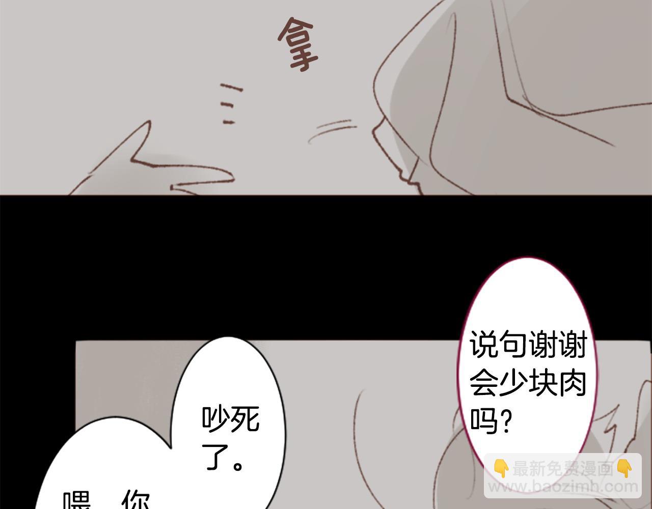 🍸哥哥~请你收养喵 第263话 离别的Aqua Grey 第40页