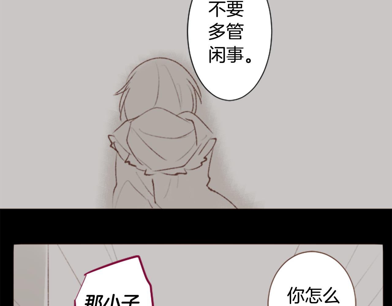 🍸哥哥~请你收养喵 第263话 离别的Aqua Grey 第43页