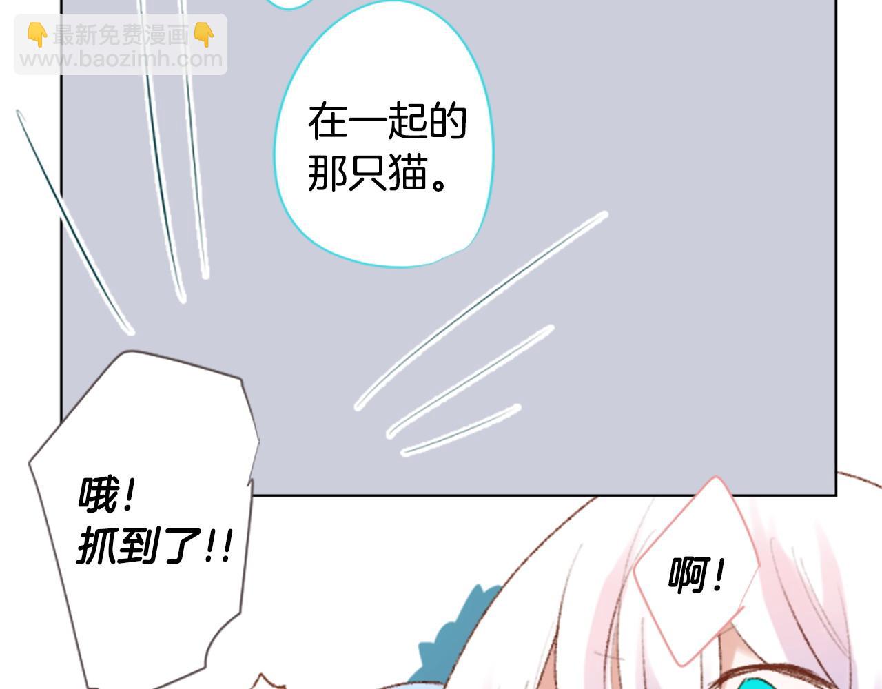 🍸哥哥~请你收养喵 第265话 混沌的pale aqua 第37页