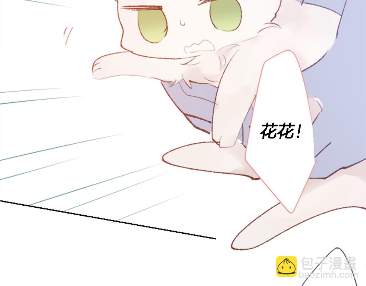 🍸哥哥~请你收养喵 第265话 混沌的pale aqua 第39页