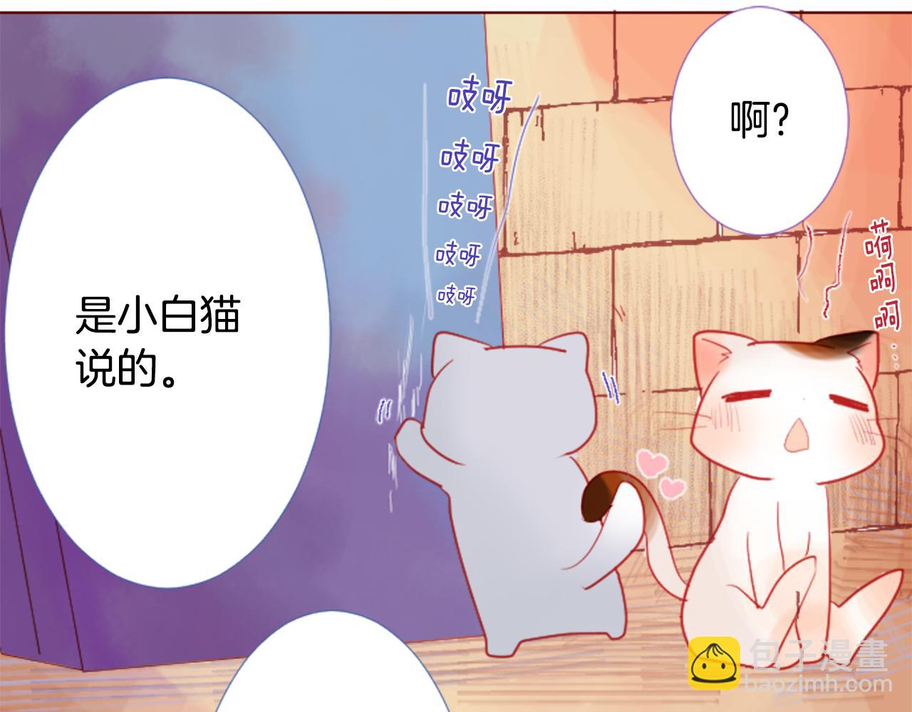 🍸哥哥~请你收养喵 第31话 最后一章的信号2 第40页