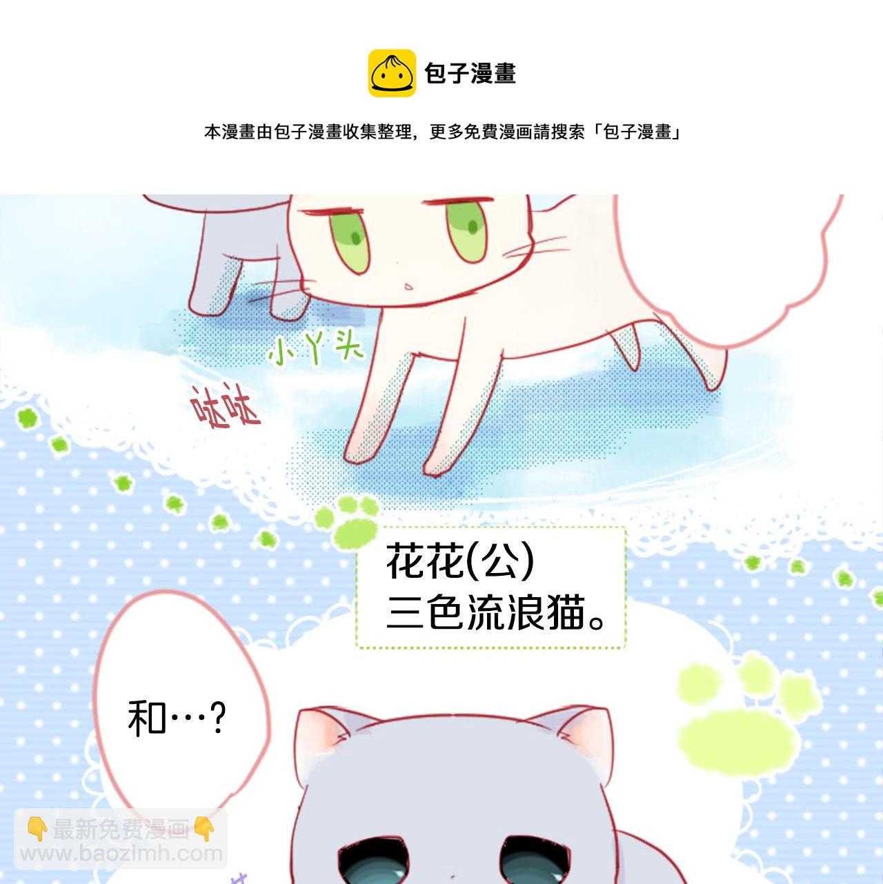 🍸哥哥~请你收养喵 第33话 魔法师和恶魔猫1 第49页