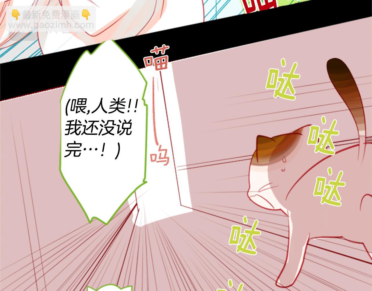 🍸哥哥~请你收养喵 第35话 魔法师和恶魔猫3 第12页