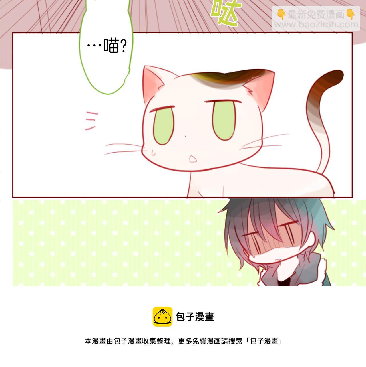 🍸哥哥~请你收养喵 第35话 魔法师和恶魔猫3 第13页