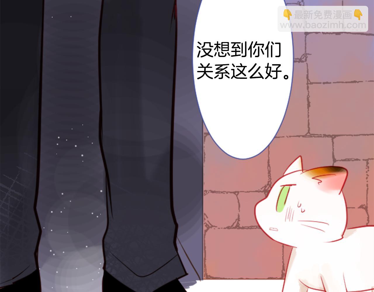 🍸哥哥~请你收养喵 第35话 魔法师和恶魔猫3 第40页