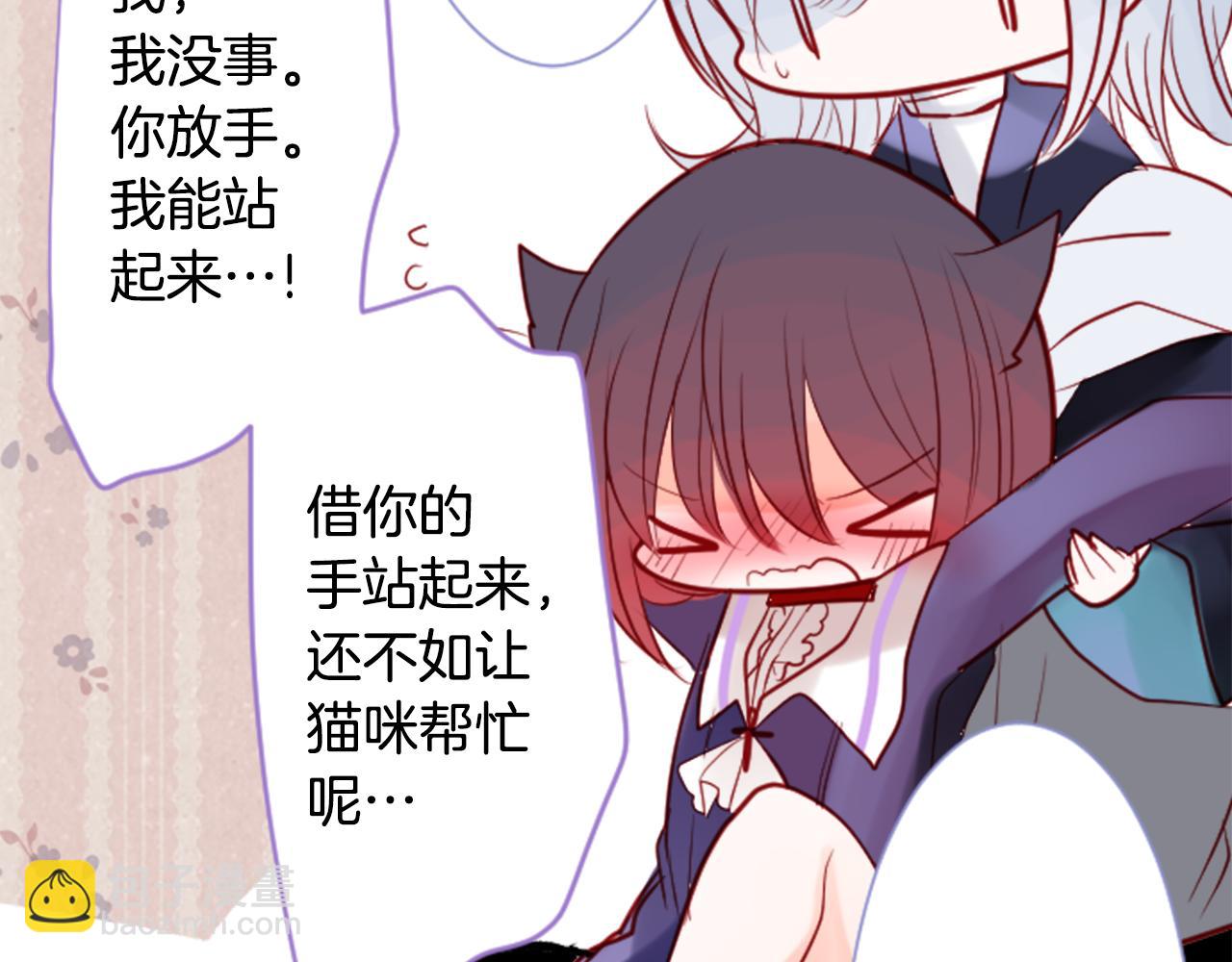 🍸哥哥~请你收养喵 第41话 养不了的猫咪 第37页