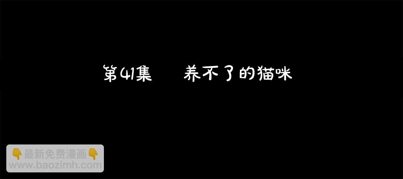 🍸哥哥~请你收养喵 第41话 养不了的猫咪 第6页