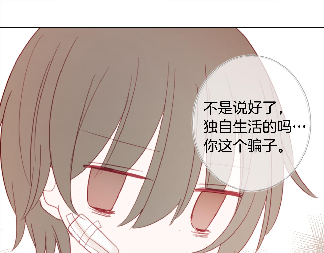🍸哥哥~请你收养喵 第79话 上午9点的神秘箱子2 第42页