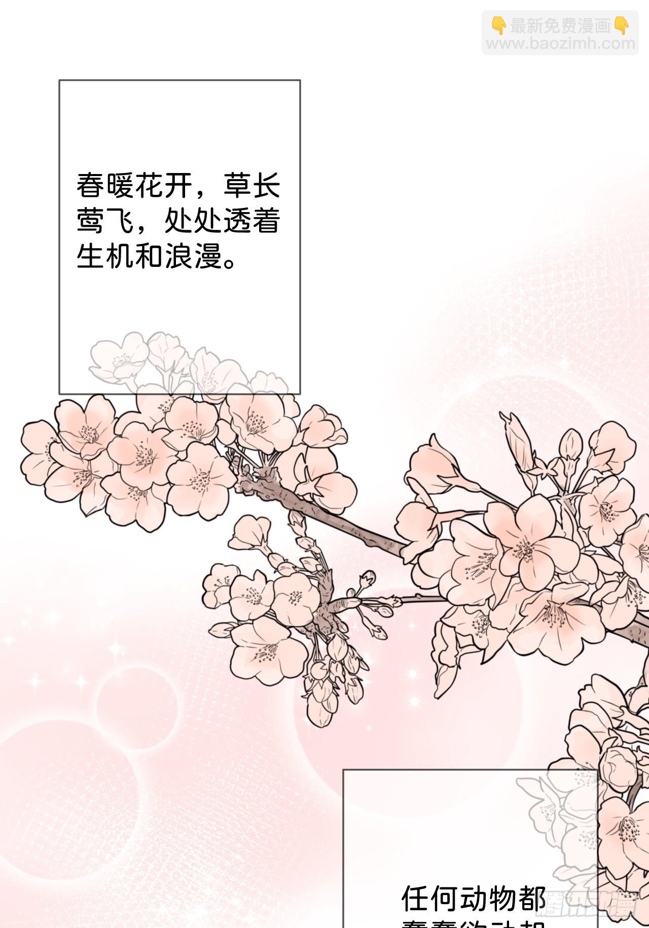 《甜蜜与危机》-第36话