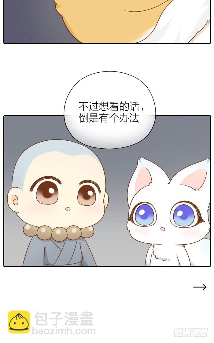 小狐狸的入世符-第62话