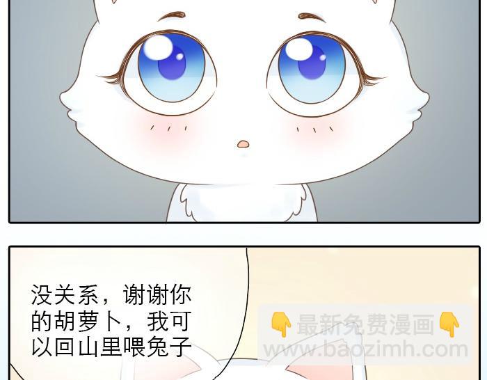 第2话 谁说狐狸不吃胡萝卜-第2话