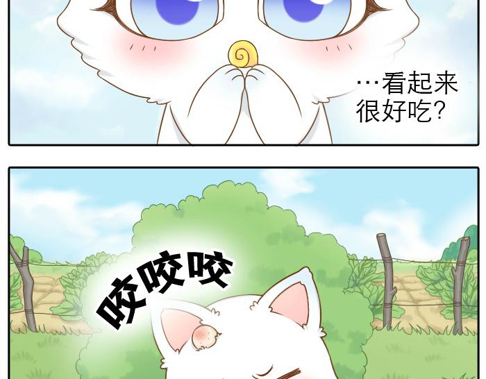 第12话 多日不见，小狐狸为何却跟踪小和尚？-第12话