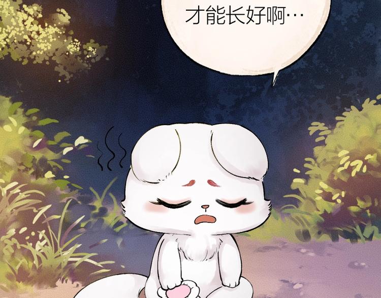 第37话 小狐狸变灰狐狸？(1/2)-第116话