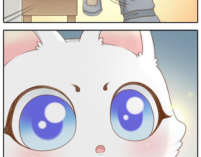第22话 定情信物！-第22话