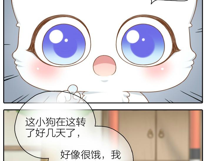 第46话 你是不是忘了什么事情？-第46话