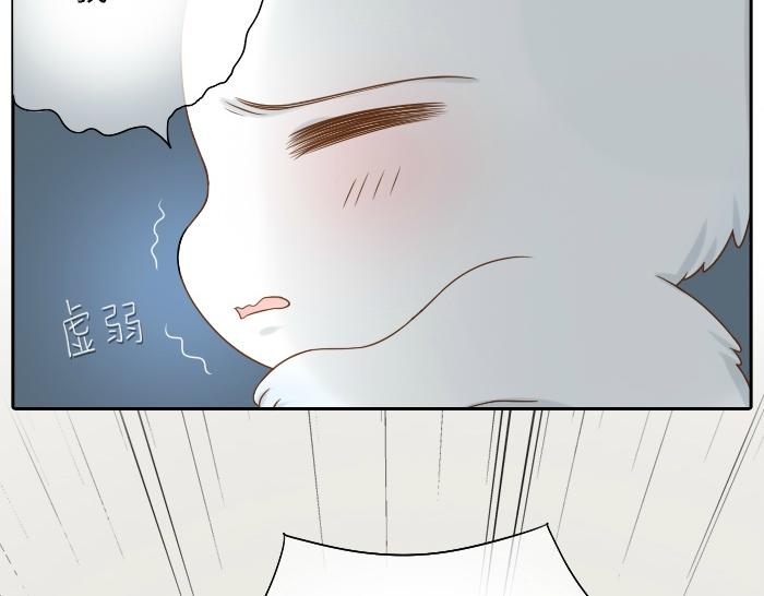 第8话 为了保护小和尚小狐狸身负重伤！-第8话