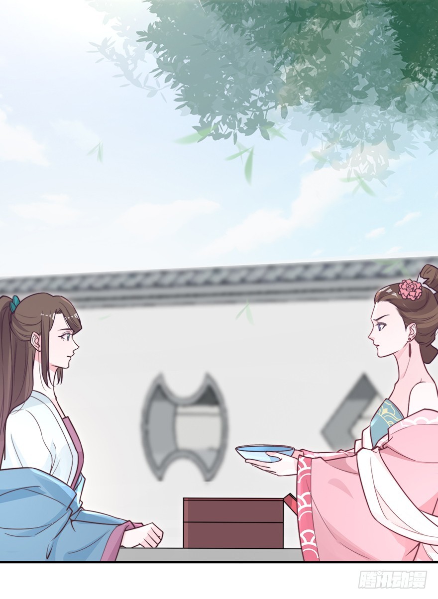 🍸宫斗live 负负得正 第14页