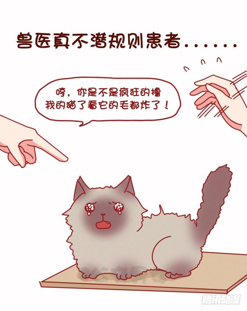 🍸公交男女爆笑漫画 1075-各行各业鲜为人知的秘密 第9页