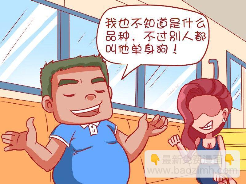 🍸公交男女爆笑漫画 484-高逼格宠物 第4页