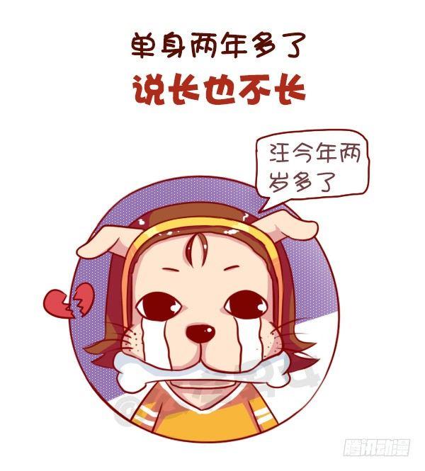🍸公交男女爆笑漫画 长期单身是一种什么体验 第2页