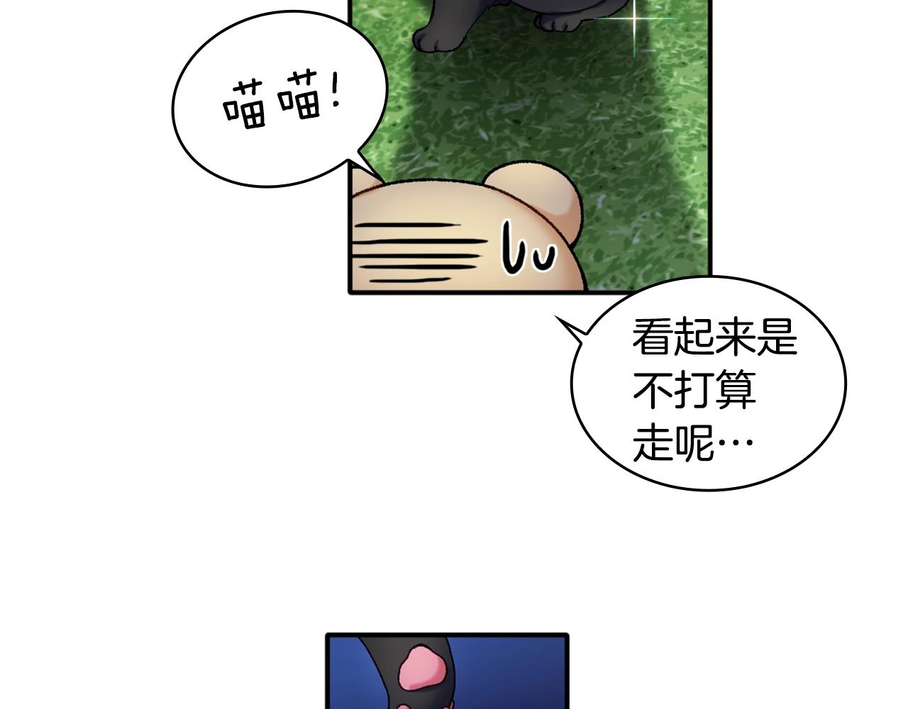 第9话 勇敢熊熊，不怕猫猫！(1/3)-第10话