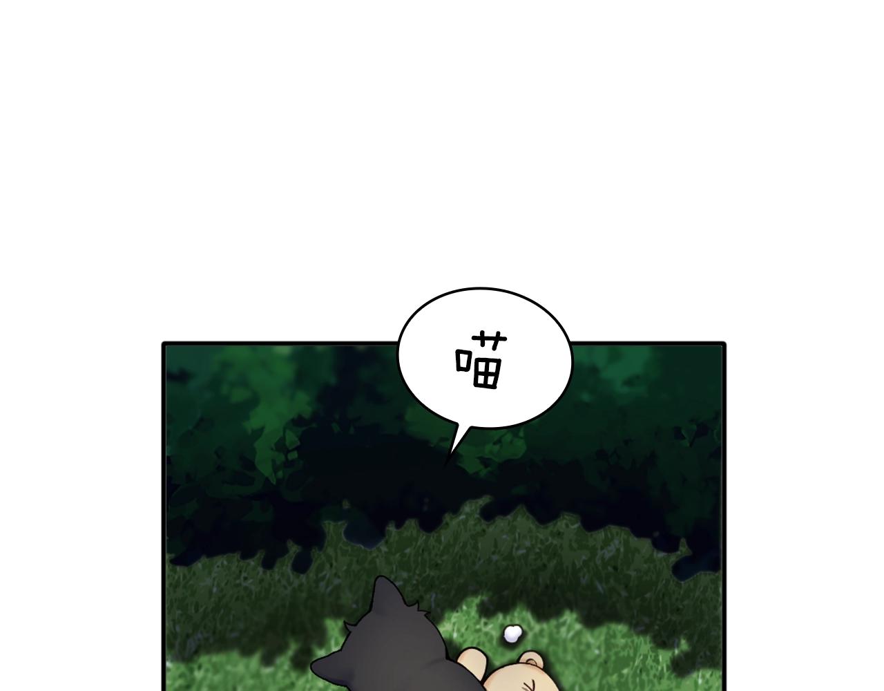 第9话 勇敢熊熊，不怕猫猫！(1/3)-第10话