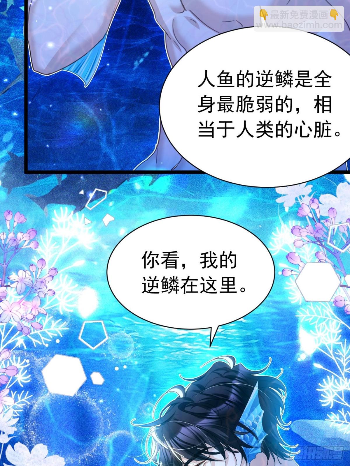 054 人鱼逆鳞-第50话
