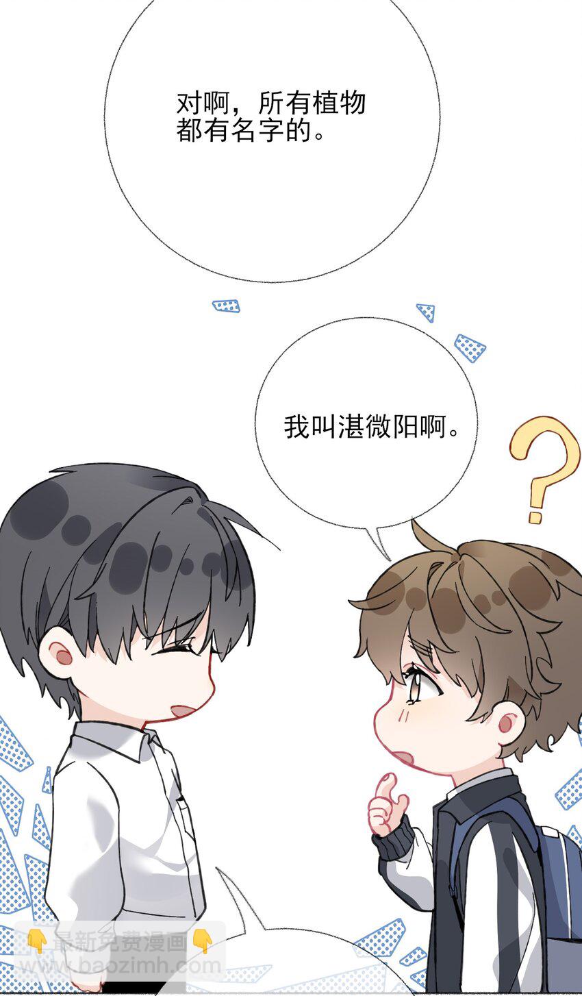 024 我会变成一棵植物-第24话