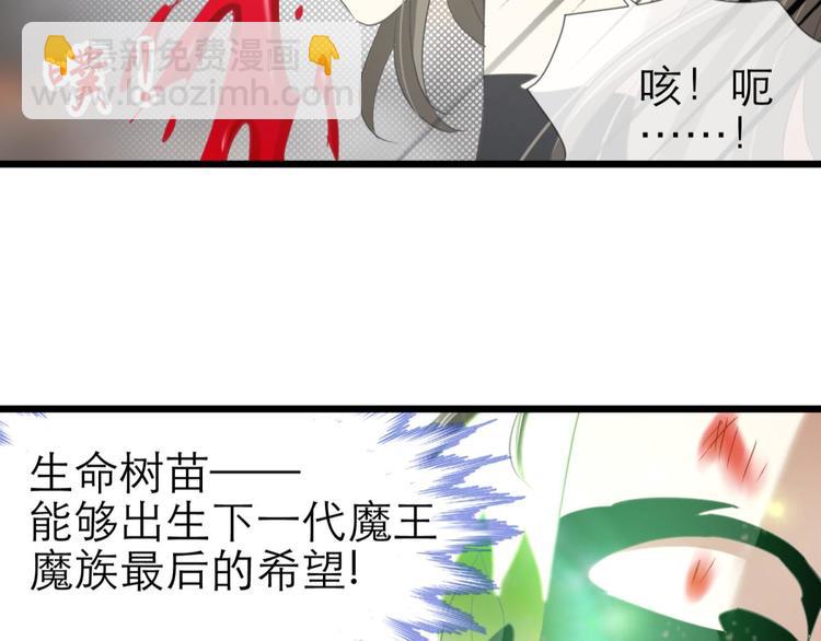第48话 光辉晨星，沙利菲儿1(1/2)-第48话