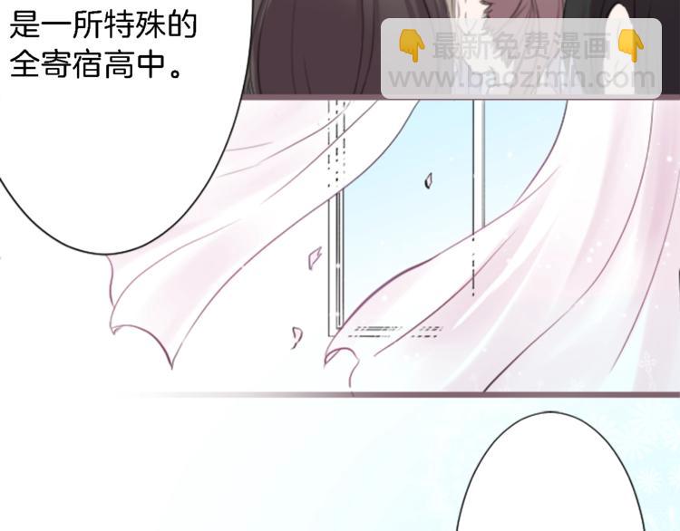🍸公主的世界不需要王子 第1话 命运的相遇 第5页