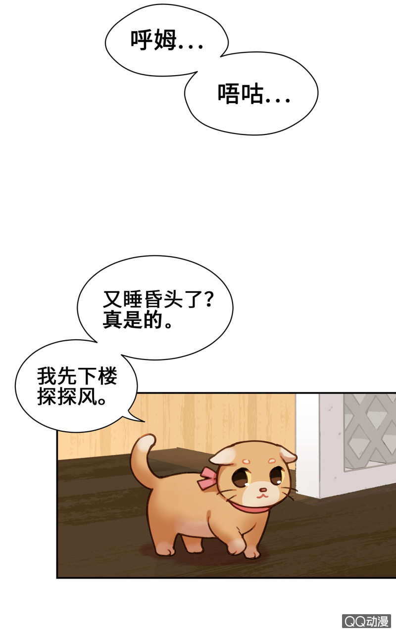 Prologue『珈琲薛丁阁』-第2话