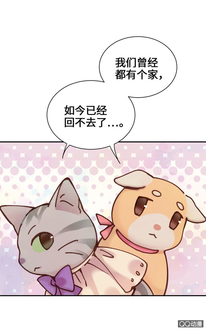 第10杯『猫法庭！』-第12话