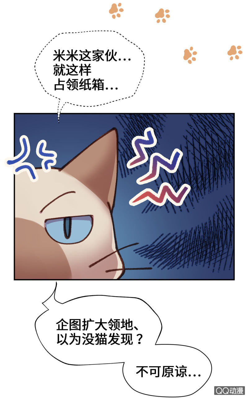 第10杯『猫法庭！』-第12话