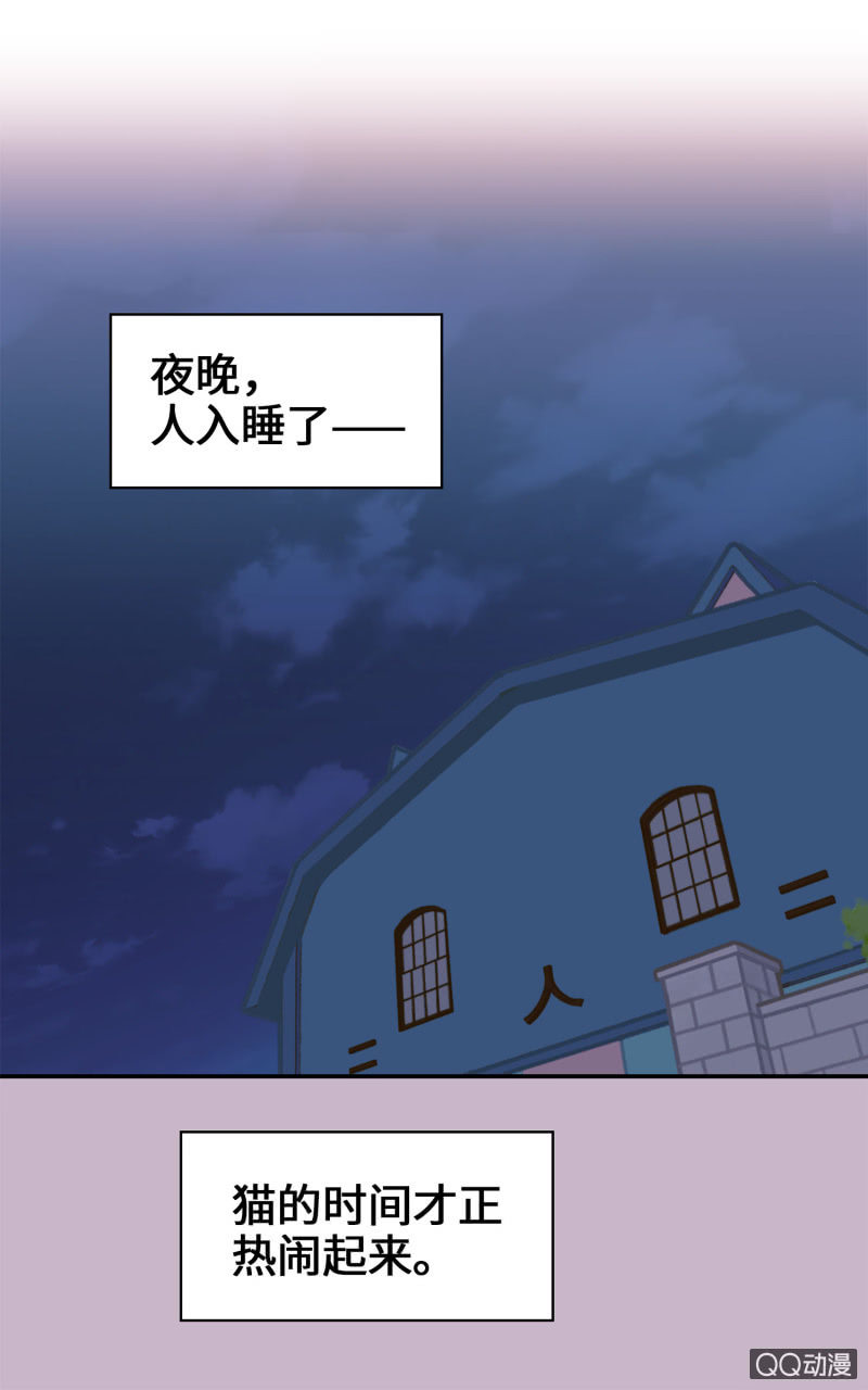 第10杯『猫法庭！』-第12话
