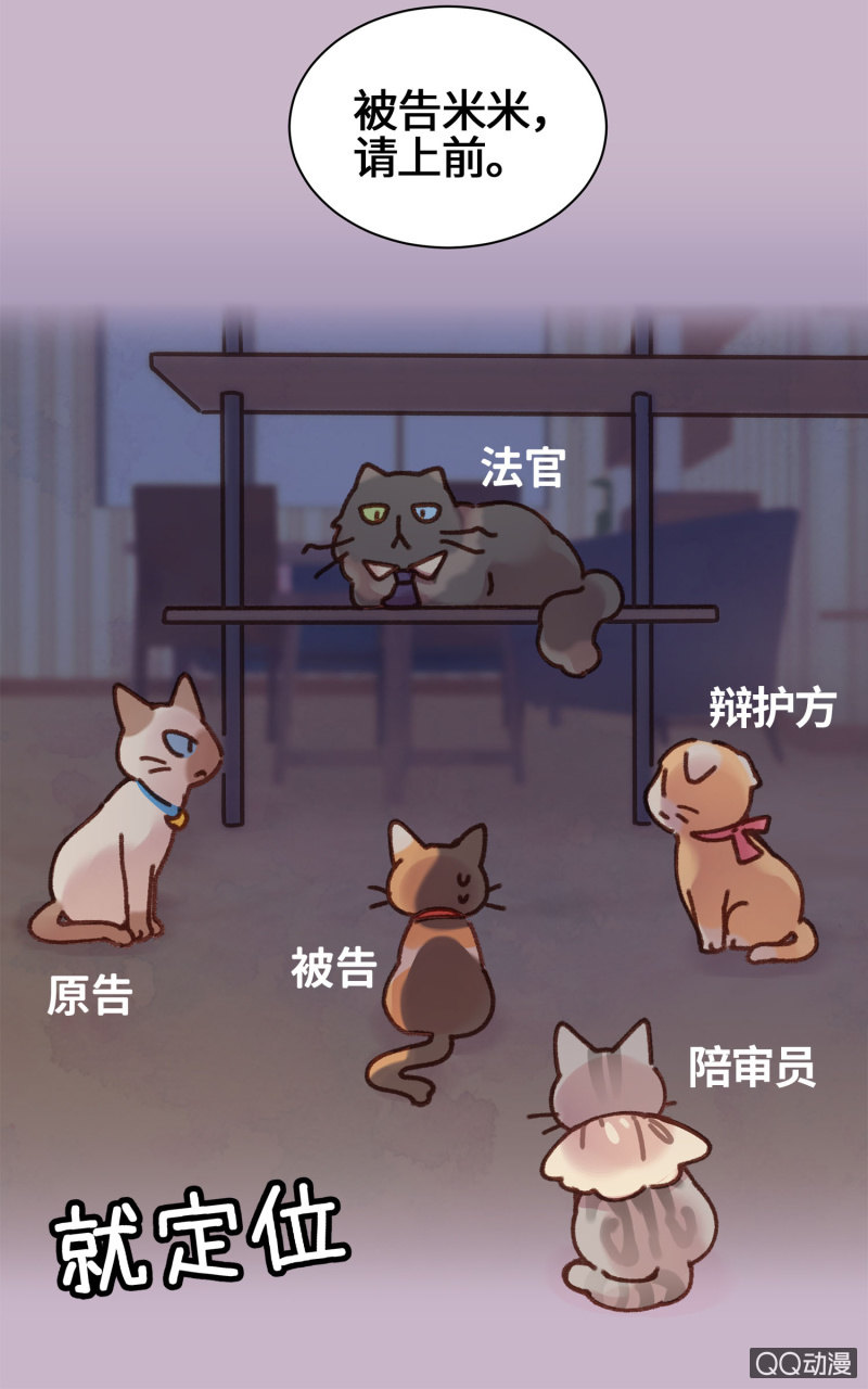 第10杯『猫法庭！』-第12话